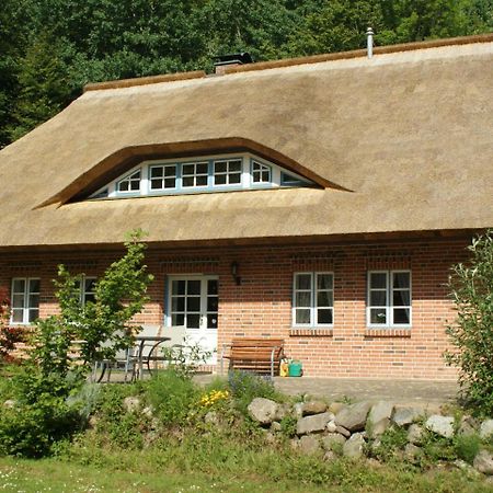 Premiumwohnung Im Biosphaerenreservat Vilmnitz Buitenkant foto